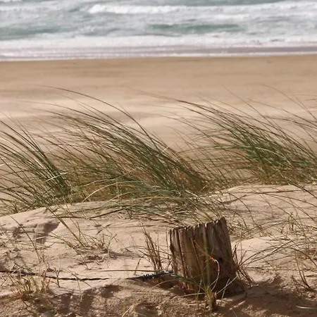 Familiale Jersey Dans Maison, Au Calme Sur Le Gr223 4*