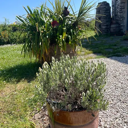 Familiale Jersey Dans Maison, Au Calme Sur Le Gr223 Bed & Breakfast 4*