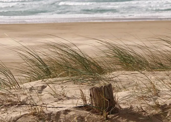 Familiale Jersey Dans Maison, Au Calme Sur Le Gr223 4*