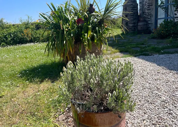 Familiale Jersey Dans Maison, Au Calme Sur Le Gr223 Bed & Breakfast 4*